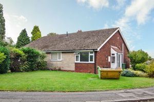 Photo 3- click for photo gallery